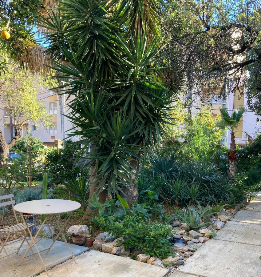 La Villa Des Amandiers Hyeres Exterior photo