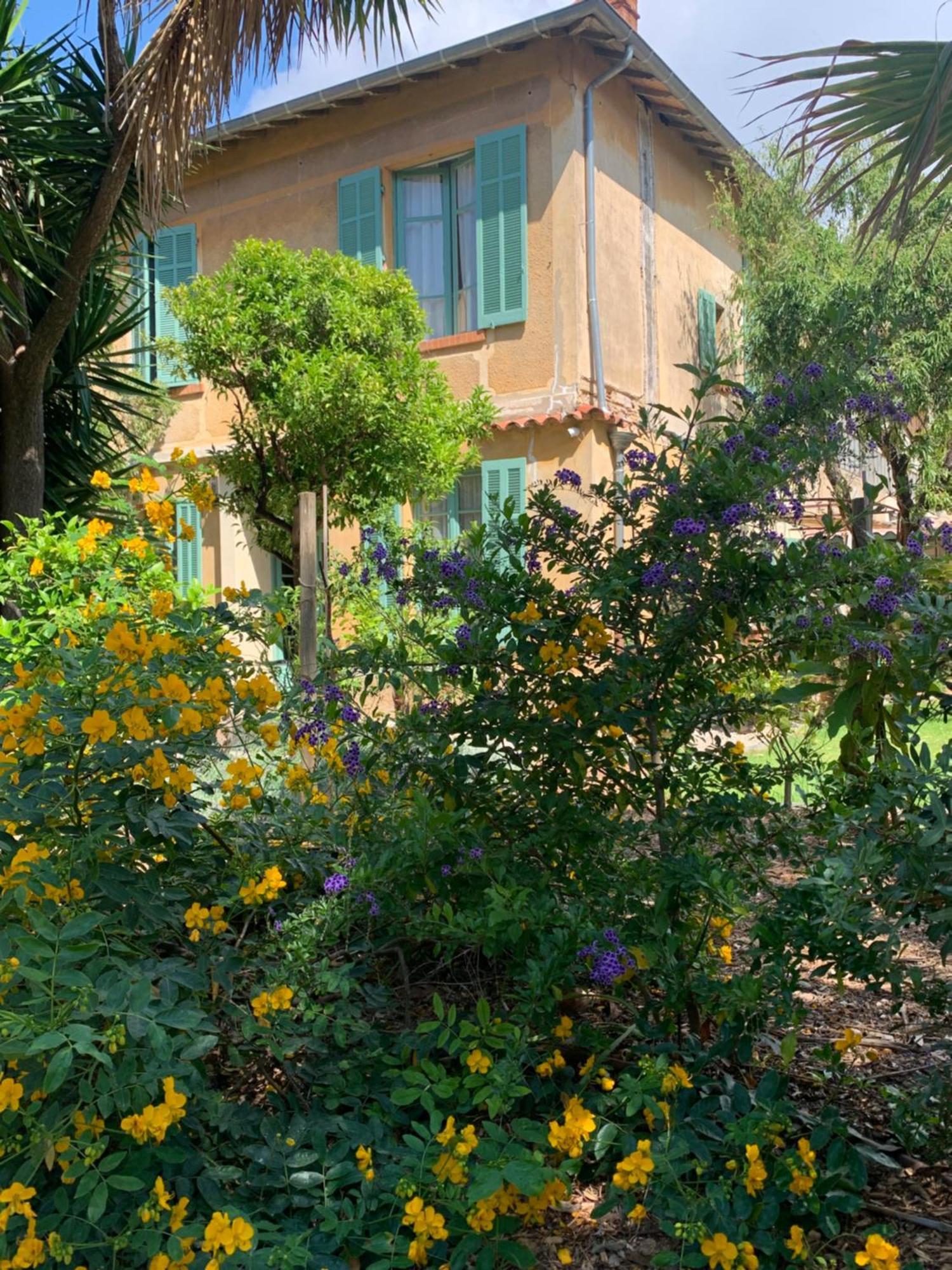 La Villa Des Amandiers Hyeres Exterior photo